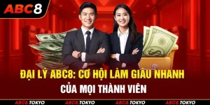 Đại lý ABC8